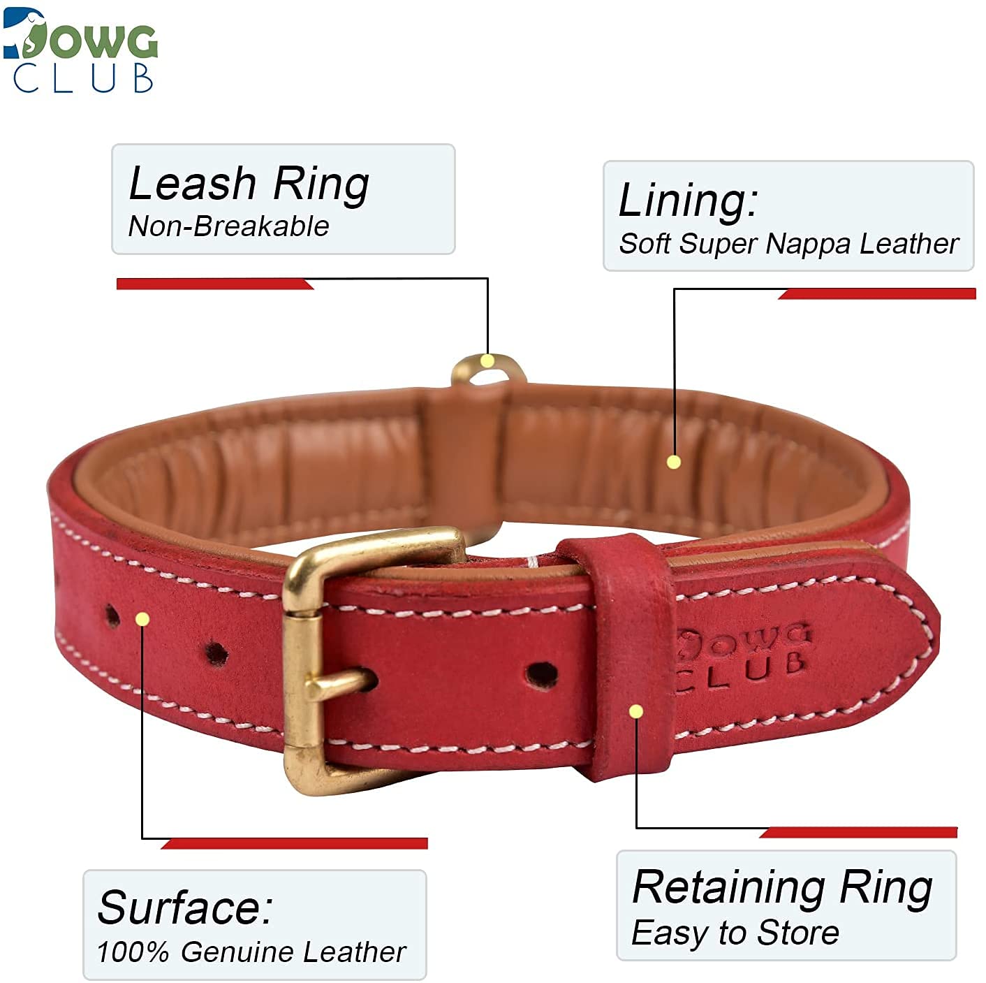 DowgClub | Genuine Leather Dog Collar | Full Grain, Heavy Duty | Padded, Comfortable, Strong | Best for Pups, Small, Medium, Lar