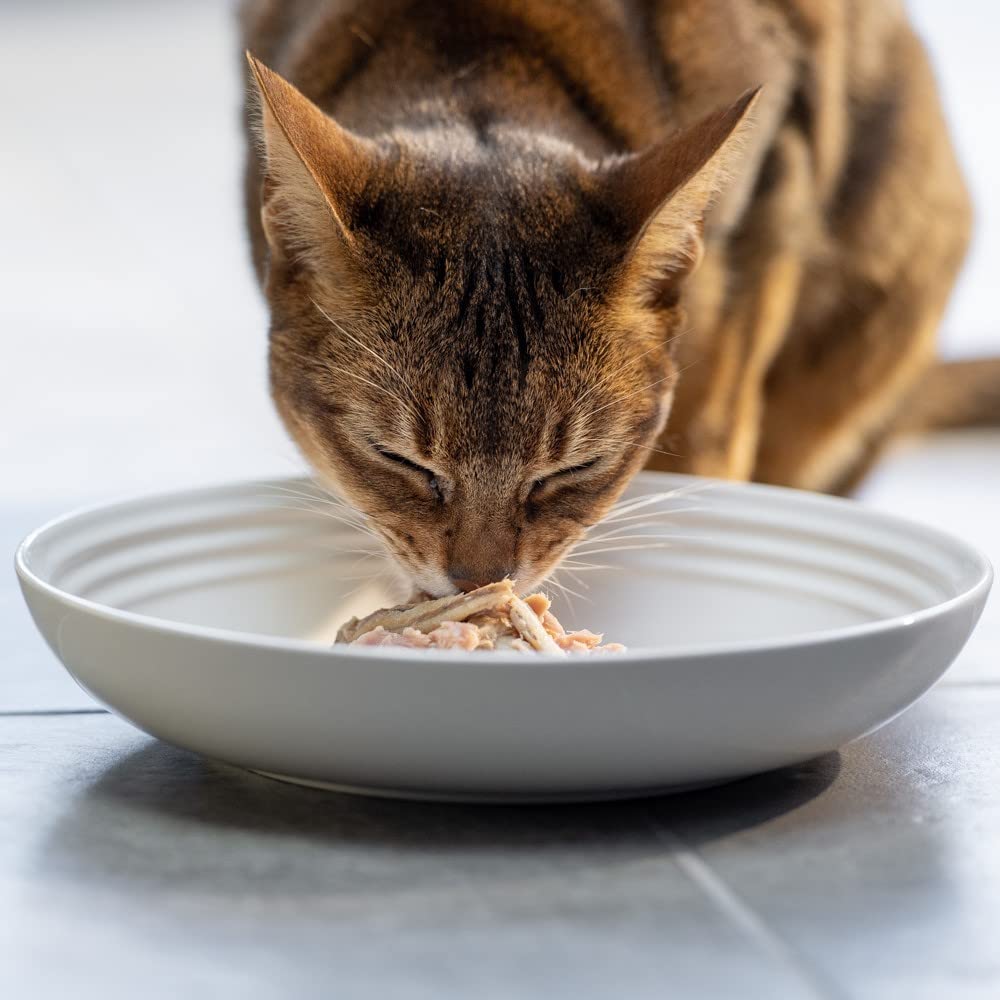 Reveal Natural Wet Cat Food, 24 Count, Grain Free, Limited Ingredient Canned Food for Cats, Chicken Breast with Tuna in Broth, 2