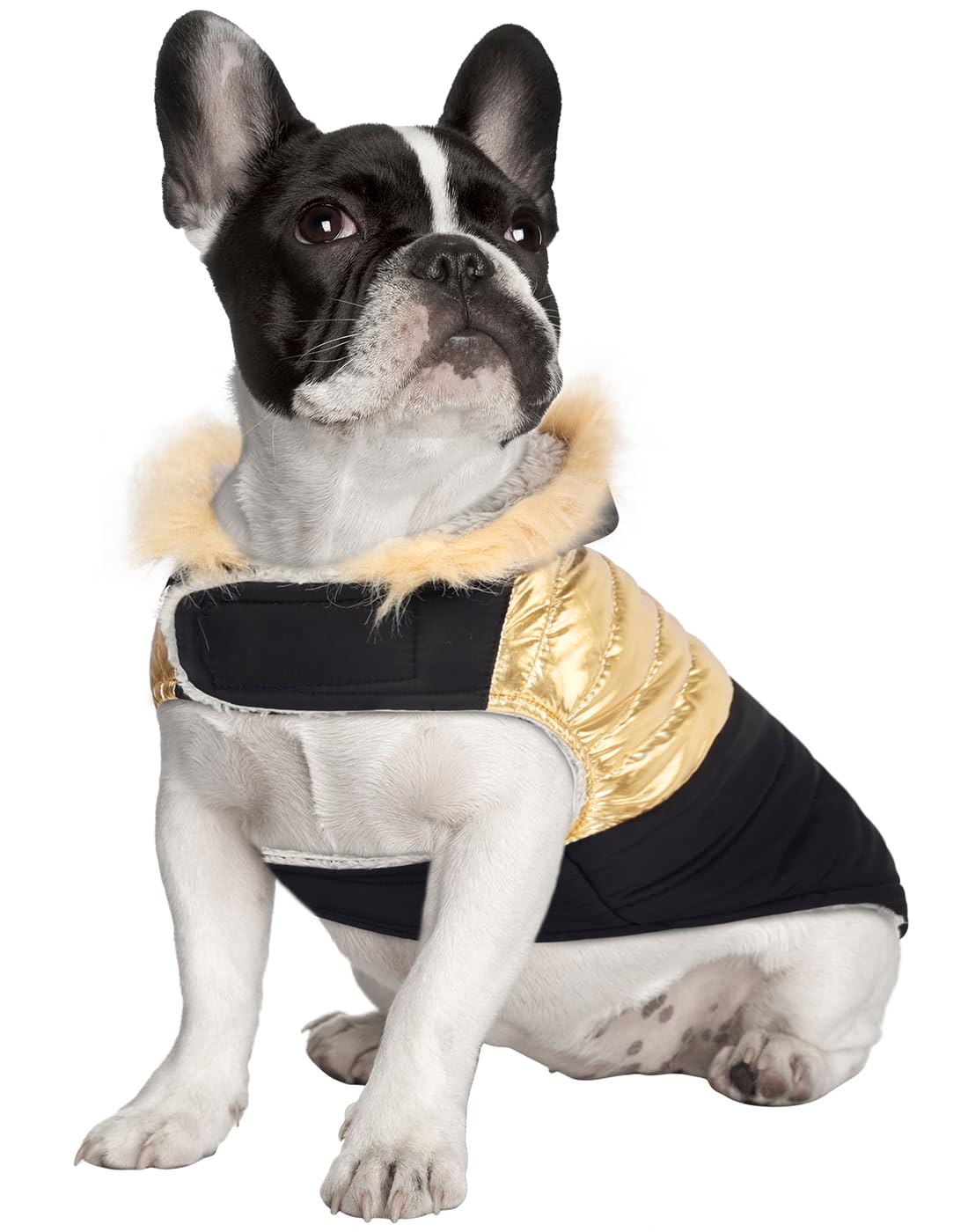 Hde Dog Puffer Jacket Fleece Lined Warm Dog Parka Winter Coat With Harness Hole 90S Black And Gold Metallic - M