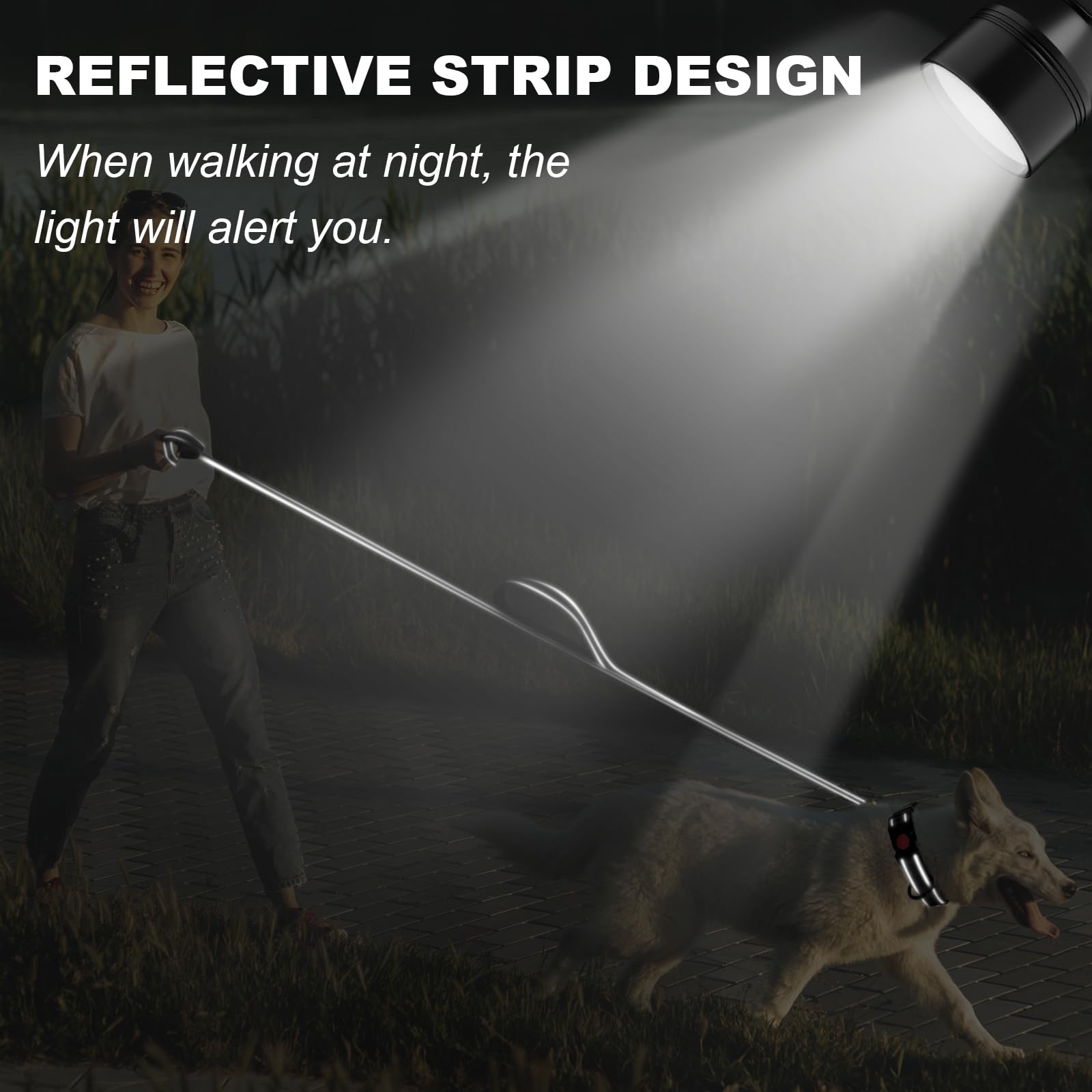 Htnlbqy Double-Sided Reflective Dog Leash, 5 Ft Padded Handle Nylon Dogs Leashes For Medium & Large Dogs Walking, Reinforced Ref