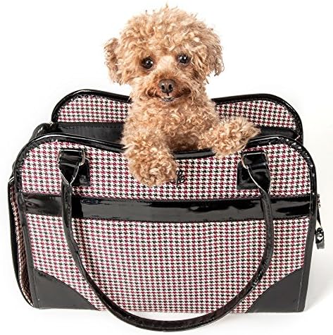 Exquisite Handbag Fashion Pet Carrier