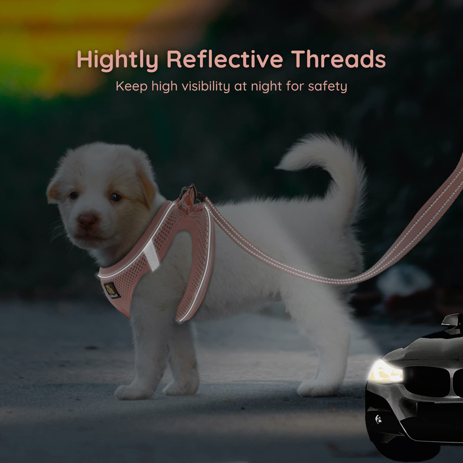 Bella & Pal Puppy Harness With Leash Set, Dog Harness For Small Dogs No Pull, Dog Leash For Small Dogs, Step In Harness For Extra Small Dogs, Pink Harness, S