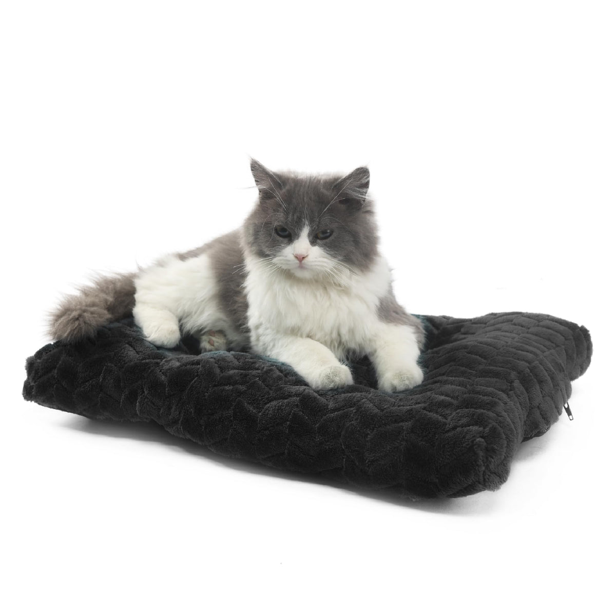 Cat Mat Black Cat Bed For Indoor Cats 18 Inch Washable Comfy Cushion,Up To 10 Lbs Soft And Fluffy Small Dog Bed For Crate Tire P