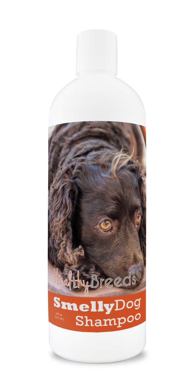 Healthy Breeds American Water Spaniel Smelly Dog Baking Soda Shampoo 8 oz