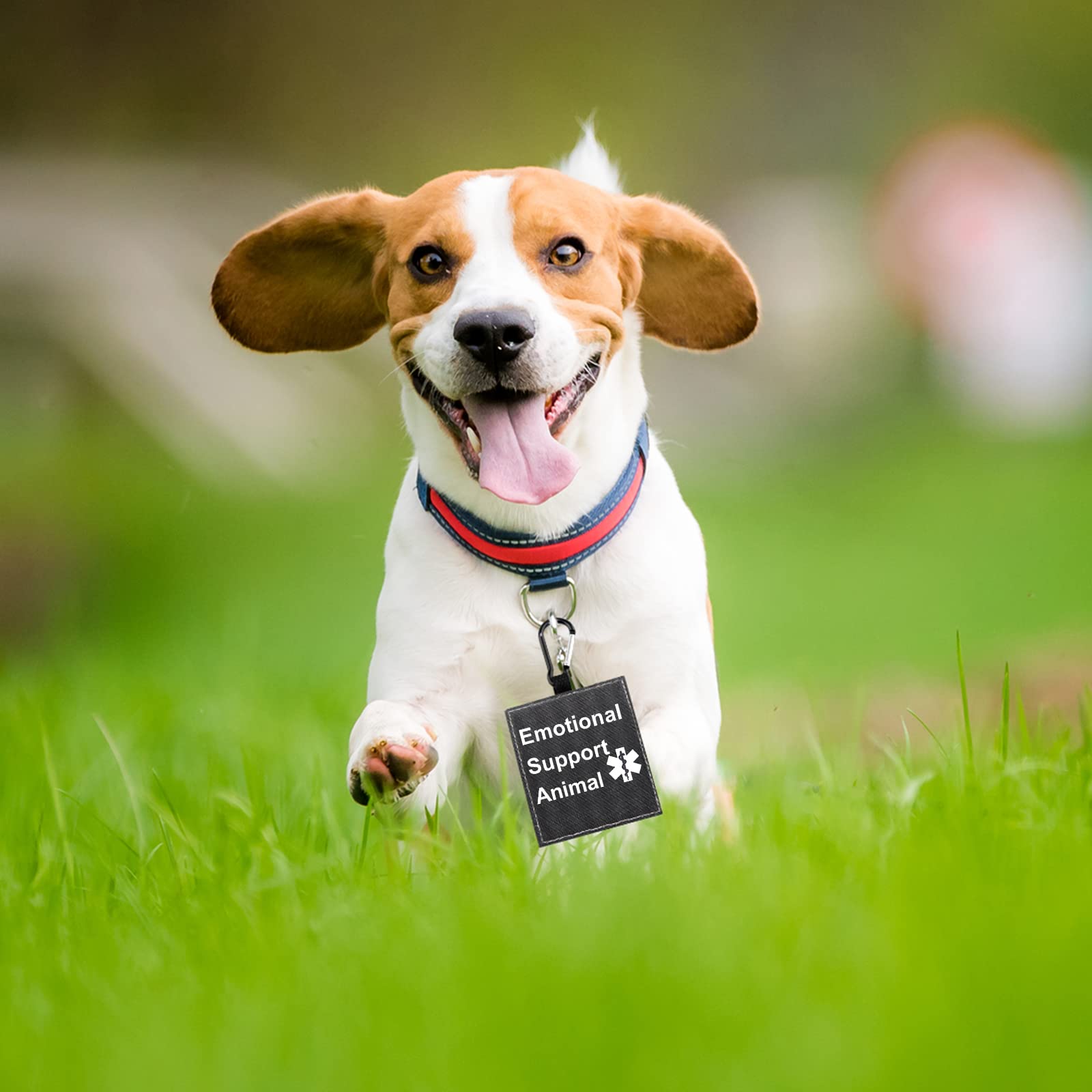 BLUPARK Therapy Service Dog Leash Sleeve Emotional Support Animal Dog Leash Wrap Wrap Alert Hanging ID Patch Tag Pet Birthday Gi