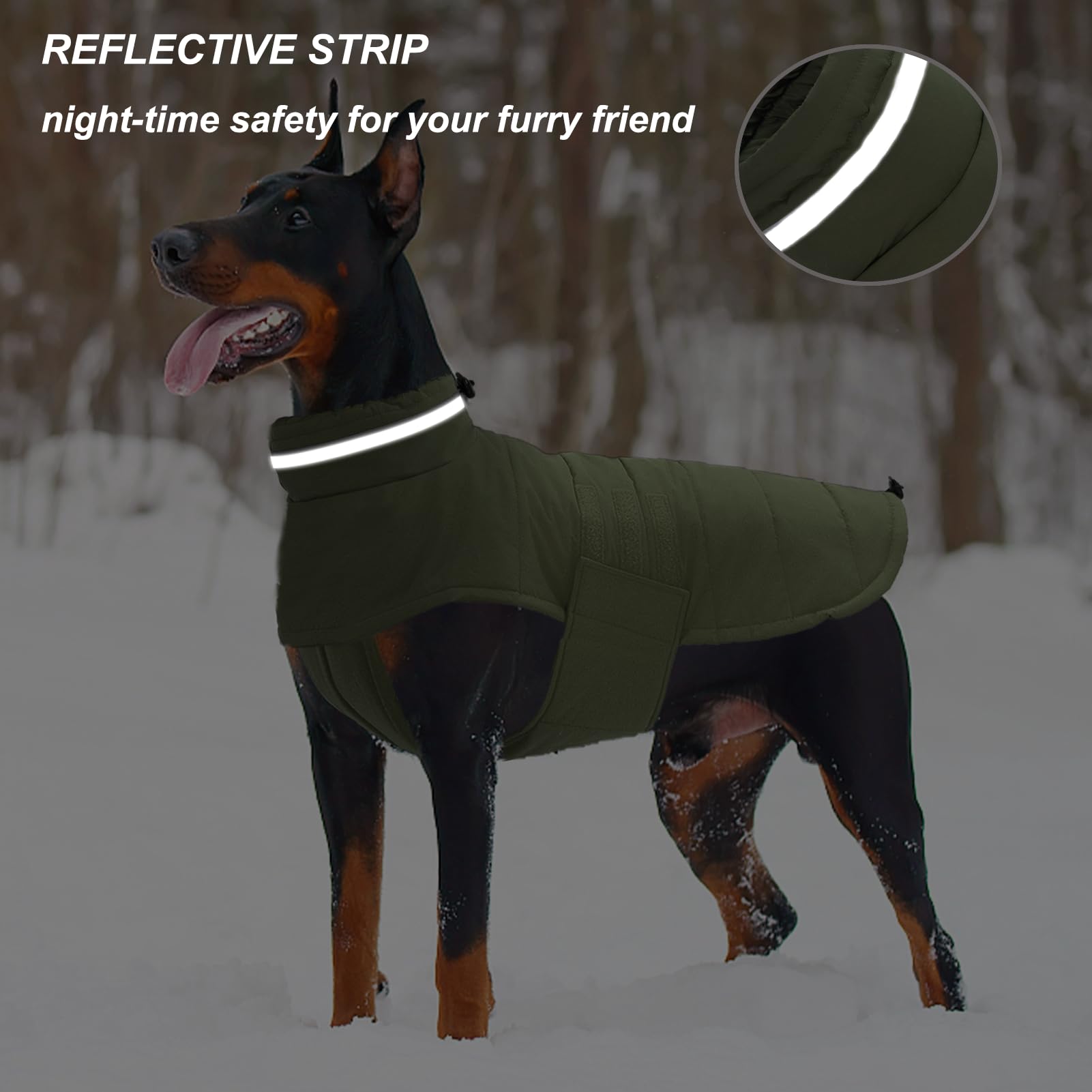 Mklhgty Dog Coat - Waterproof, Warm, Windproof Jacket for Small Dogs - Green, Reflective, Adjustable Turtleneck