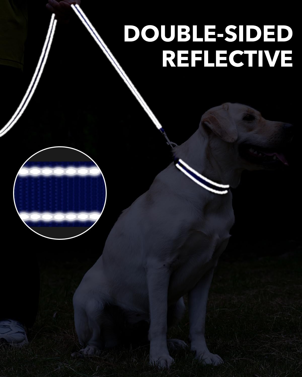 Taglory Dog Leash For Medium Large Dogs, Double-Sided Reflective Leash With Soft Neoprene Padded Handle, 1 Inch By 5 Ft, Fit Med