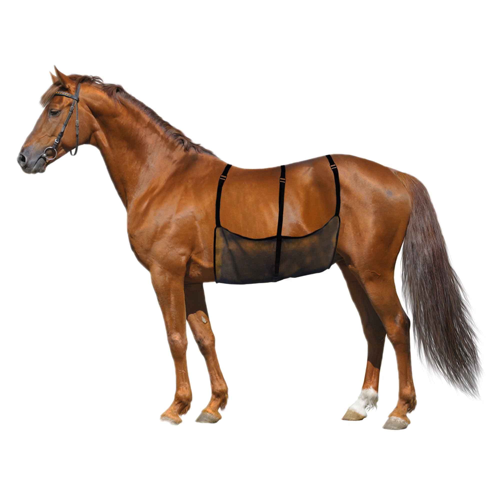 Horse Belly Guard Horse Ride Fly Sheet Mesh Belly Protector For Riding Stable Setting Equine Guard Sheet