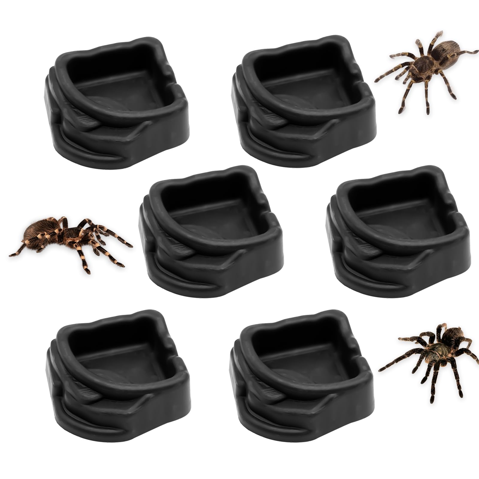 FUATY 6 Pcs Spider Micro Water Bowls, Mini Resin Dish for Tarantula, Spider, Millipede and Tiny Reptiles, Food/Water Dish for En