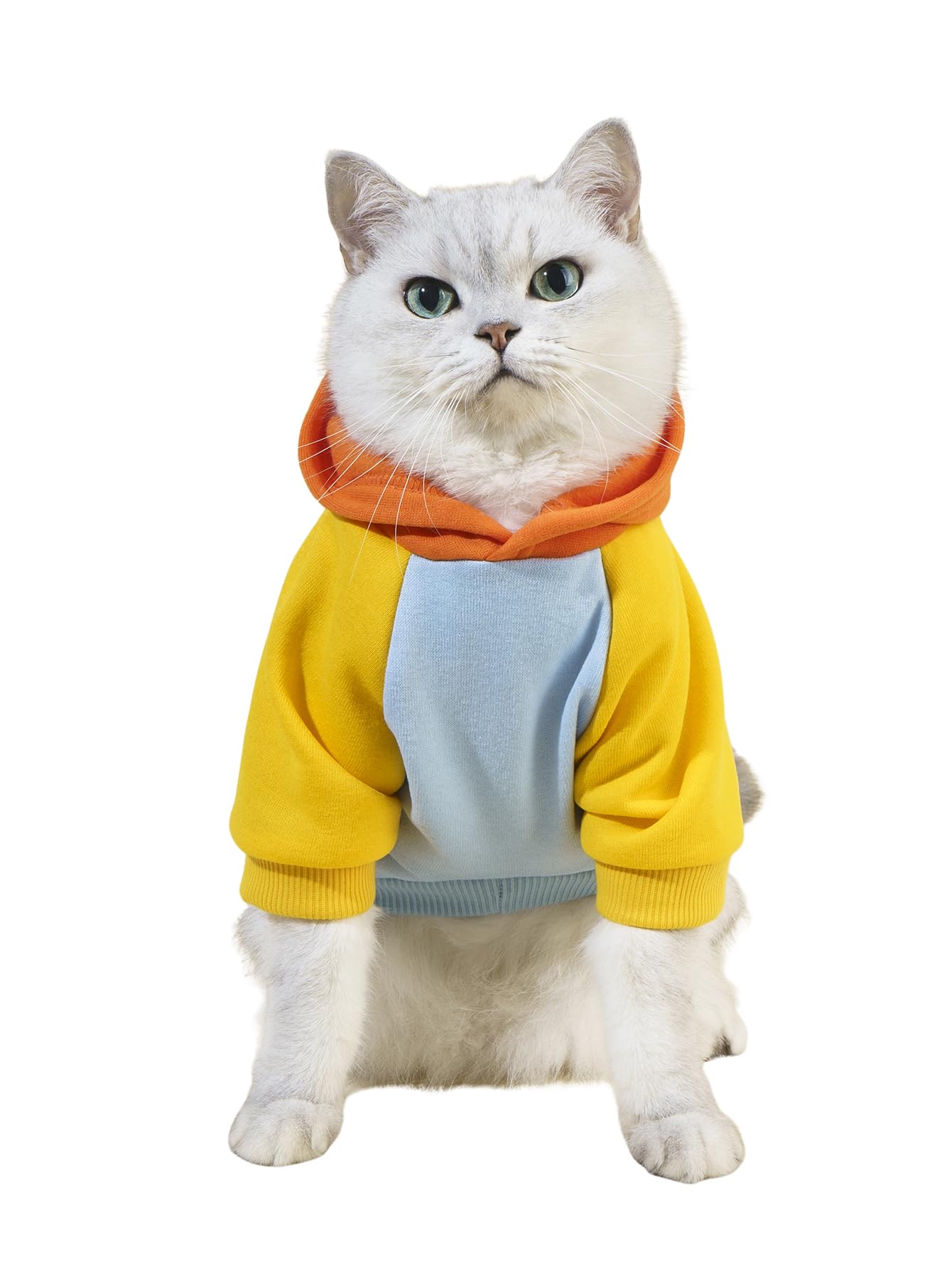 Qweee Basic Dog & Cat Apparel - Warm Jacket & Shirt For Small To X-Large Dogs & Cats, Orange & Blue