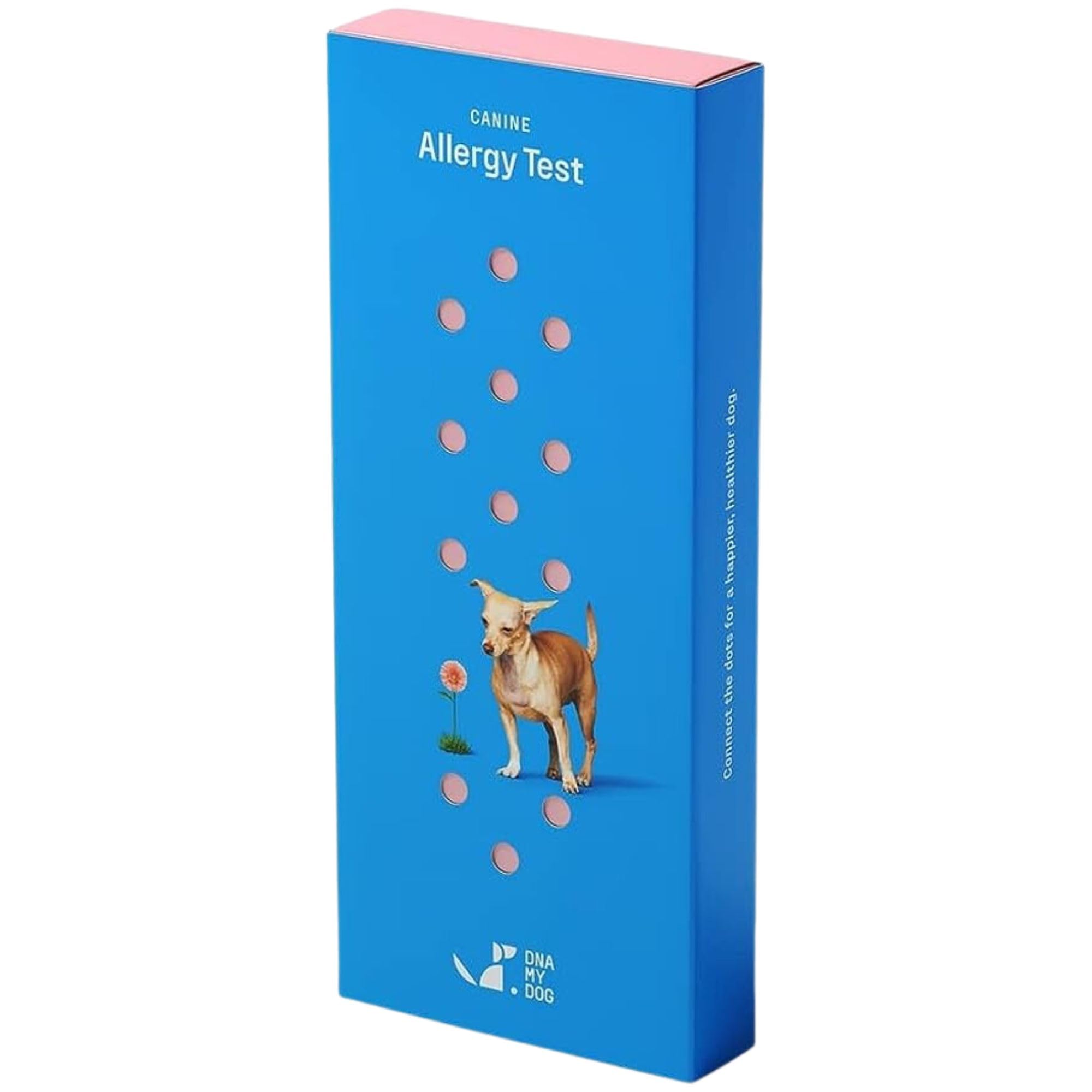 Dna My Dog - Canine Allergy Test | Analysis of 120+ Allergens | Not a Fur Test, Cheek Swab | Food, Environmental and Household I
