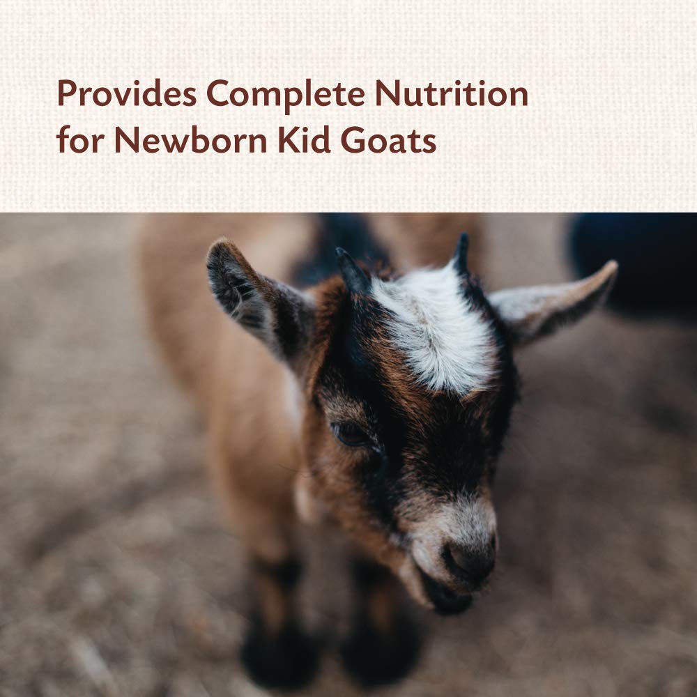 Manna Pro Goat Kid Colostrum Supplement - Feed for First 24 Hours of Life - Helps Promote Healthy Development - Fortified with V