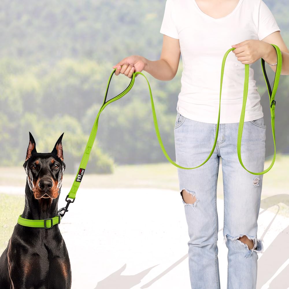 Plutus Pet Double Handle Dog Leash 5Ft, Heavy Duty, Reflective Dual Handle Dog Leash For Safety Training, For Medium Large Dogs,