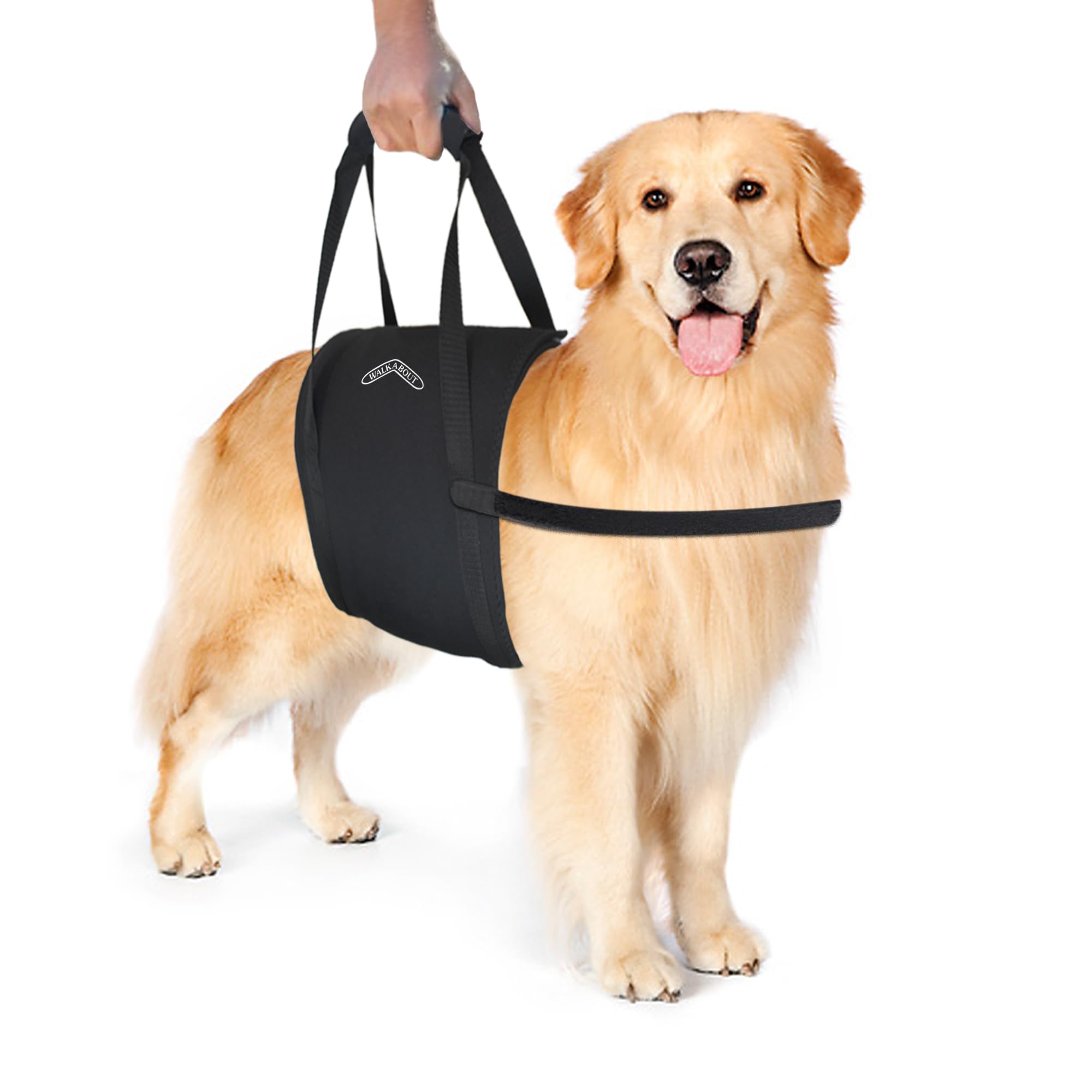 Walkabelly Support Sling, Easy-To-Use Belly Harness For Daily Mobility, Stop Straining To Lift Your Pet, Quick-Lift Original Design By Walkabout Harnesses (Small Walkabelly)