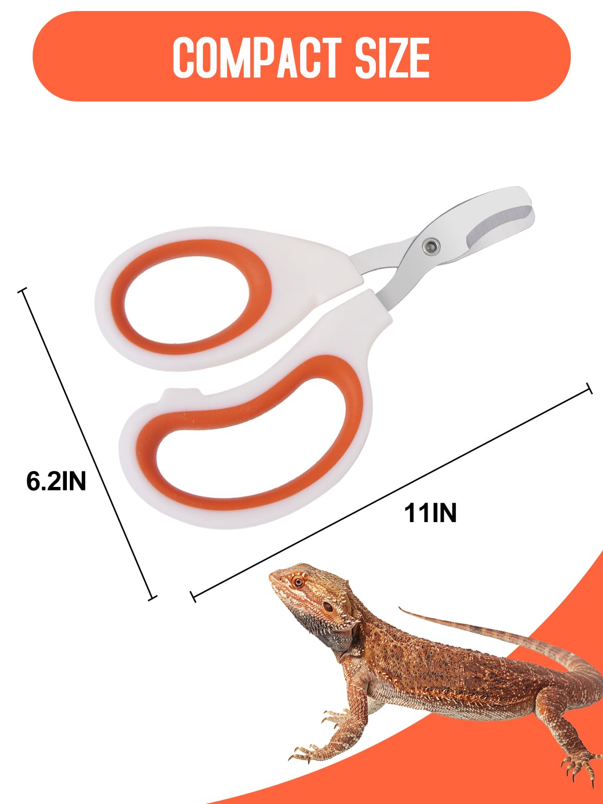 Stainless Steel Bearded Dragon Nail Clippers,Lizard Nail Clippers,Bearded Dragon Supplies,Bearded Dragon Nail Scissors for Small