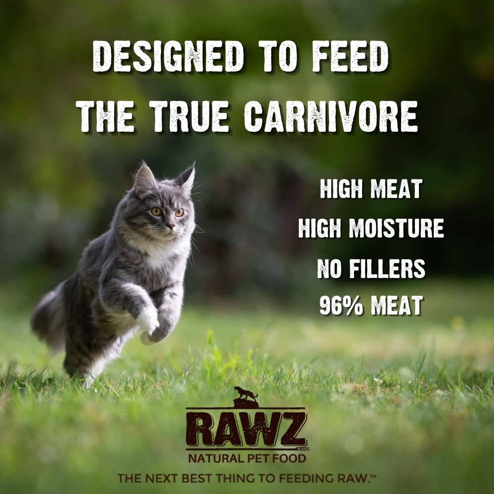 Rawz Natural Premium Pate Canned Cat Wet Food - Made with Real Meat Ingredients No BPA or Gums - 5.5oz Cans 24 Count (Beef & Bee