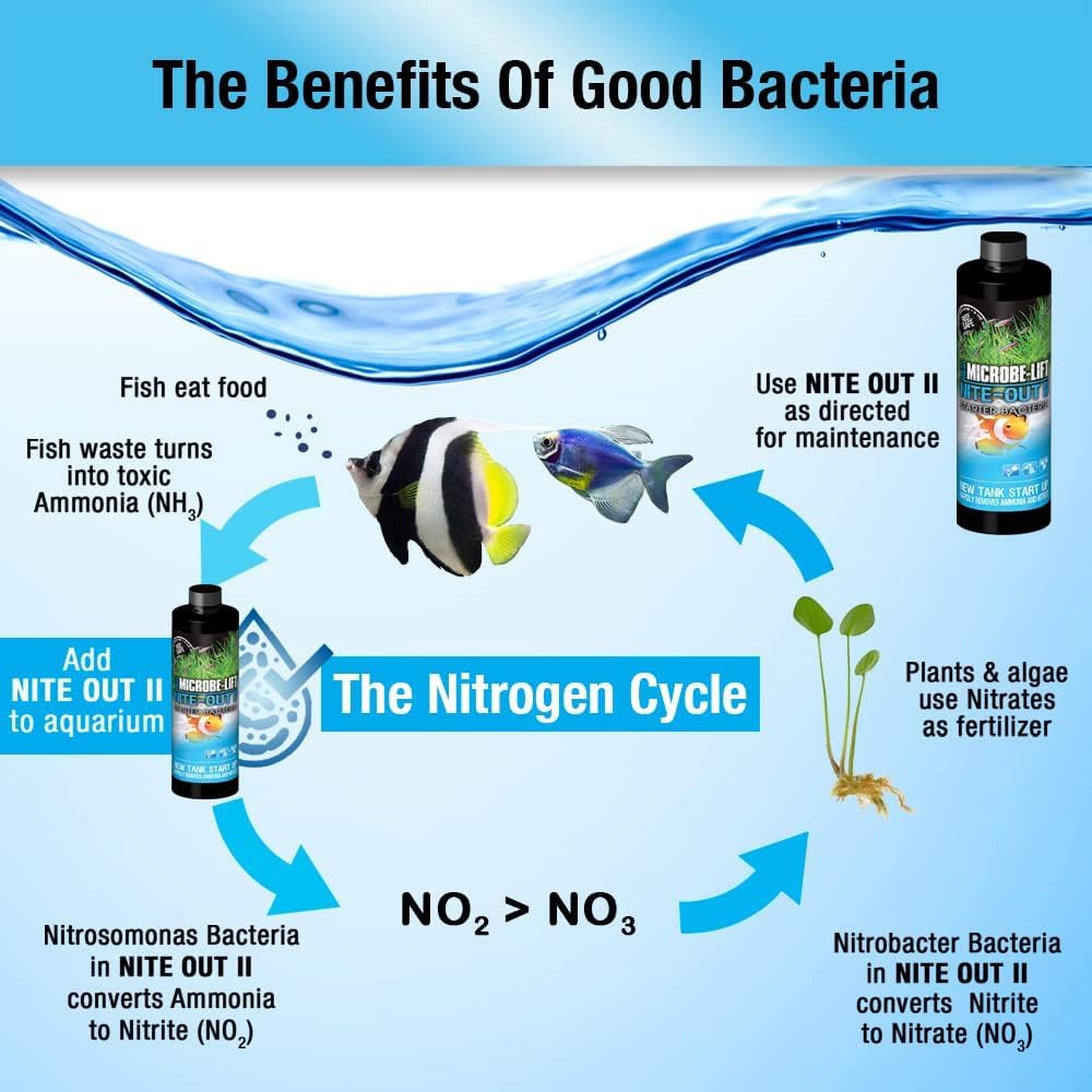 MICROBE-LIFT NITEHG12PEC Nite-Out II Aquarium and Fish Tank Cleaner for Rapid Ammonia and Nitrite Reduction, Freshwater and Salt