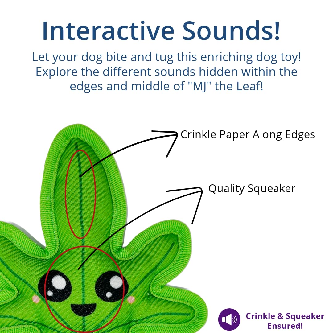 Toygenics Weed Toy | Funny Crinkle Chew Toys | Tough Plush Squeaky Toys For Small & Medium Breed Dogs | Raw Dog Toy