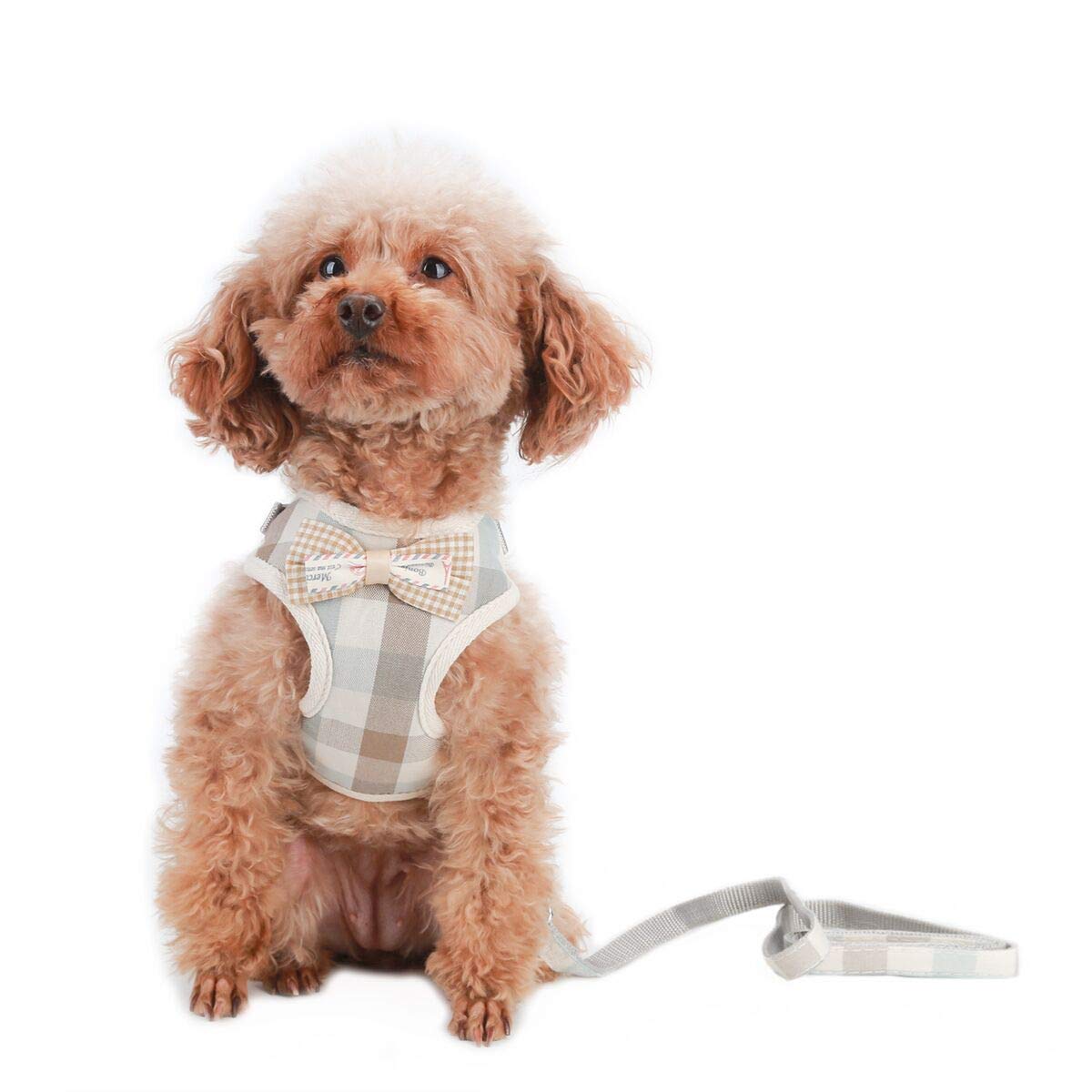 Voopet Puppy Harness Easy To Put On & Take Off Step In Dog Harness, Puppy Soft Padded Mesh Front Vest With Leash, Adjustable Pet
