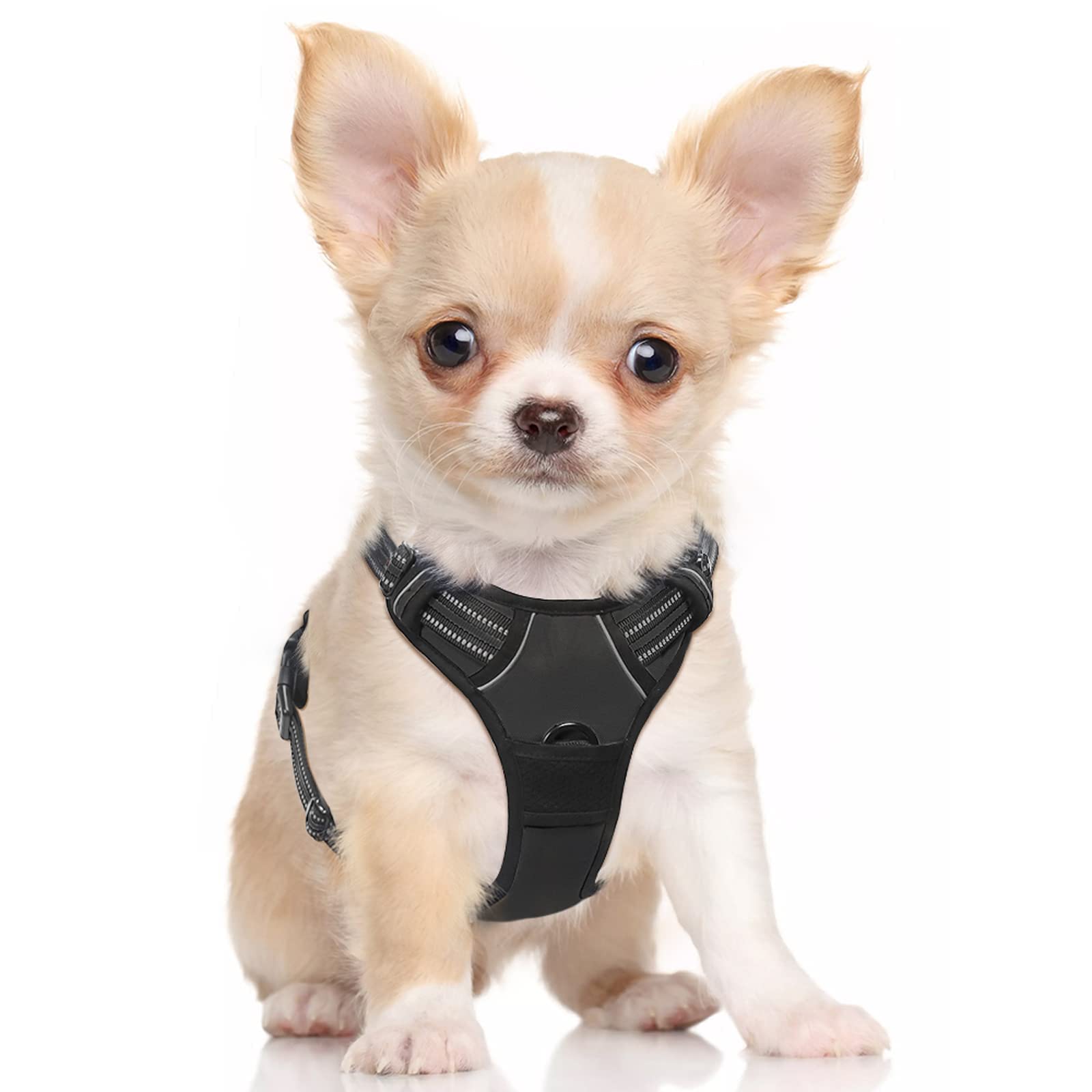Rabbitgoo Dog Harness, No-Pull Pet Harness With 2 Leash Clips, Adjustable Soft Padded Dog Vest, Reflective No-Choke Pet Oxford Vest With Easy Control Handle For Small Dogs, Black, S