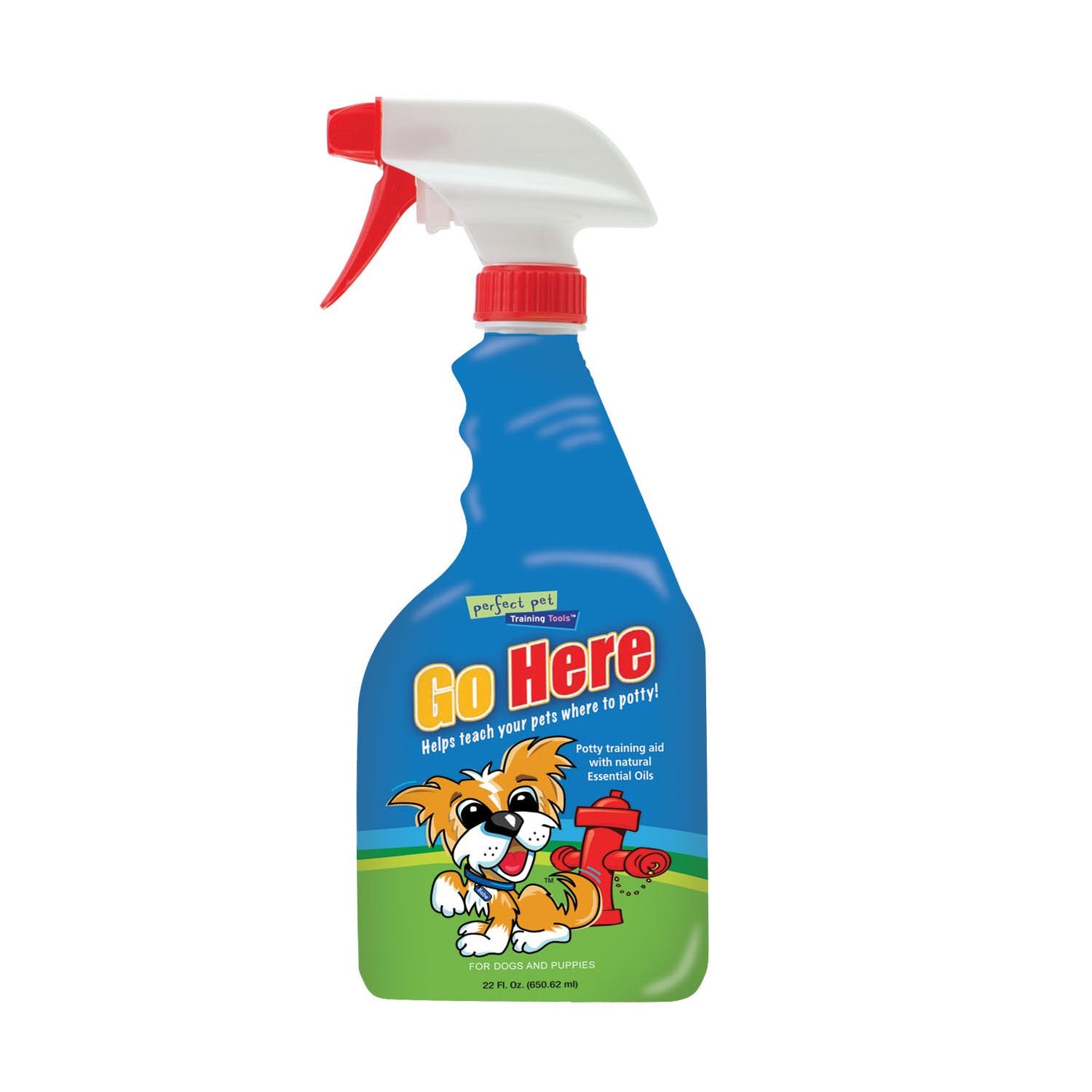 Davis Go Here Potty Training Aid, 22 Oz