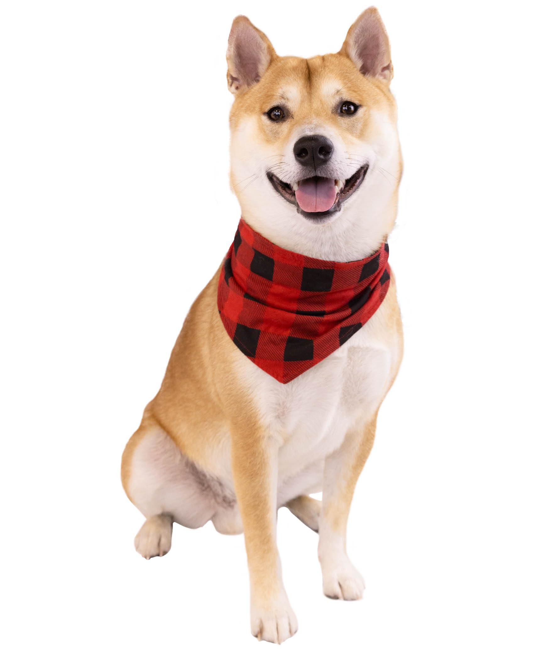 Lazy One Reversible Dog Bandana, Cute Accessories For Pets, Plaid (Medium/Large, Don'T Wake The Bear)