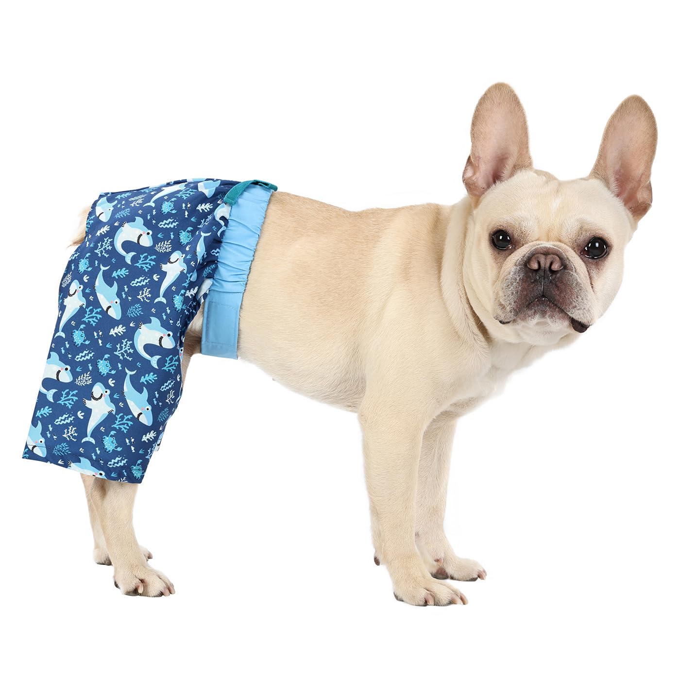 Hde Dog Swim Trunks Hawaiian Board Shorts Beach Pool Swimsuit For Xs To Xxl Dogs Blue Sharks - Xs