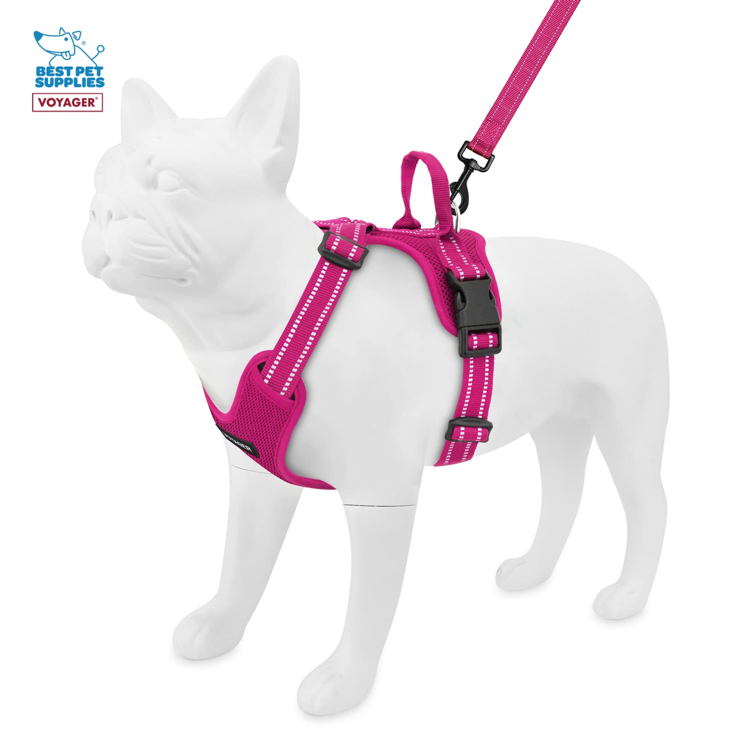 Air Frontier Mesh Dog Harness With And Reflective Dog Leash Set, Reflective Stitching, And Lightweight Breathable No-Pull Design, Adjustable Neck And Chest Straps For Small To Large Breeds - Fsw, Xs