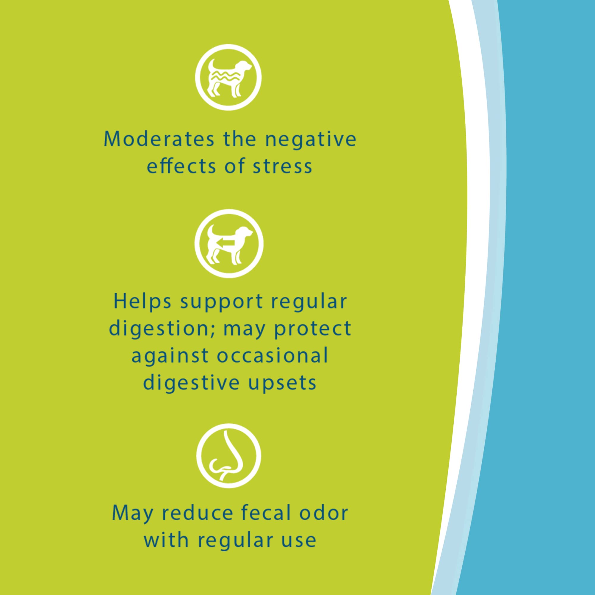 Van Beek Natural Science Synacore Canine - All Natural Formula to Provide Immune Support for Dogs & Help Maintain Digestive Heal