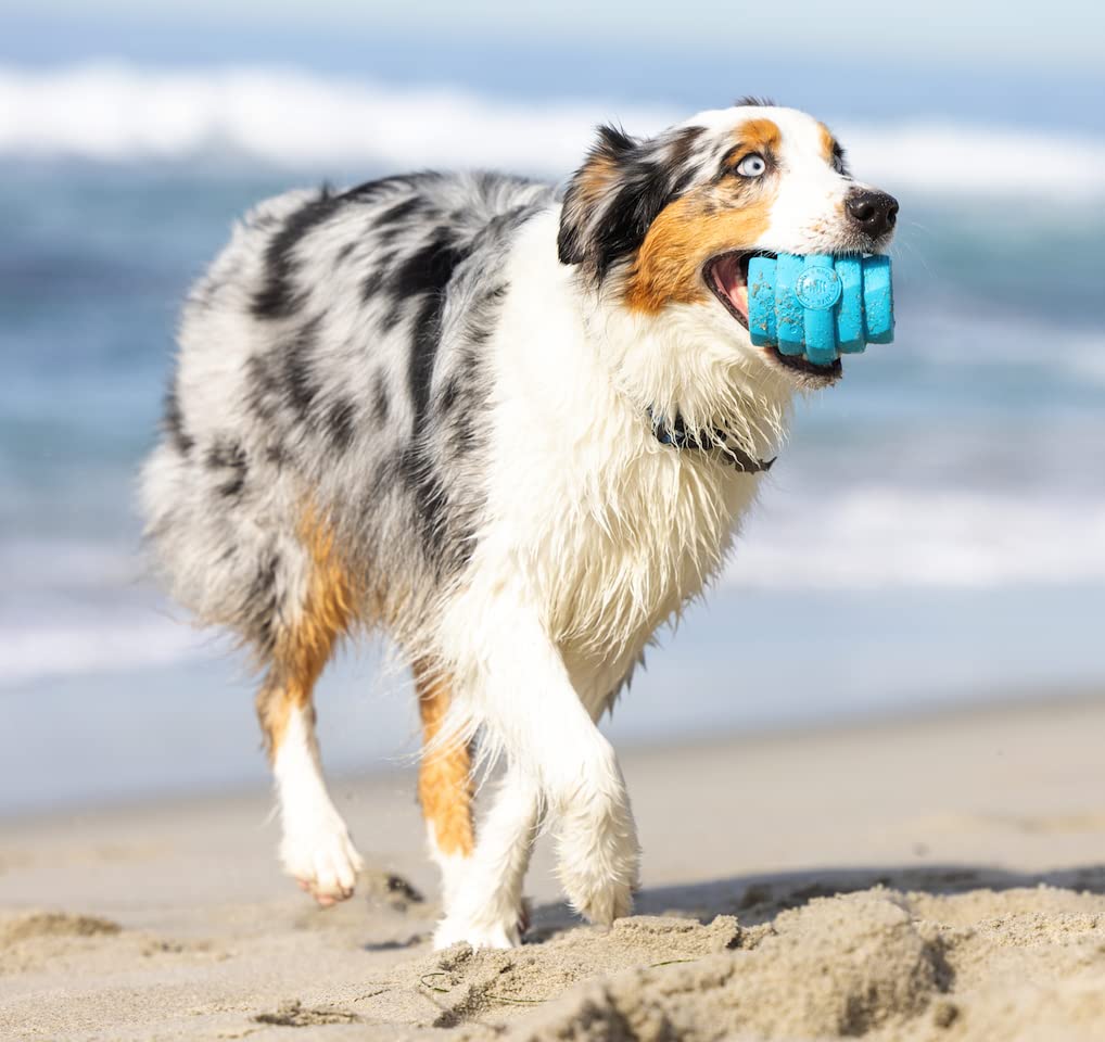 Project Hive ·Pet Company· - Soothing Vanilla Scented - Hive Chew Toy For Large Dogs - Dog Chew Toy For Large Breeds - Floats In Water - Durable And Tough - Made In The Usa