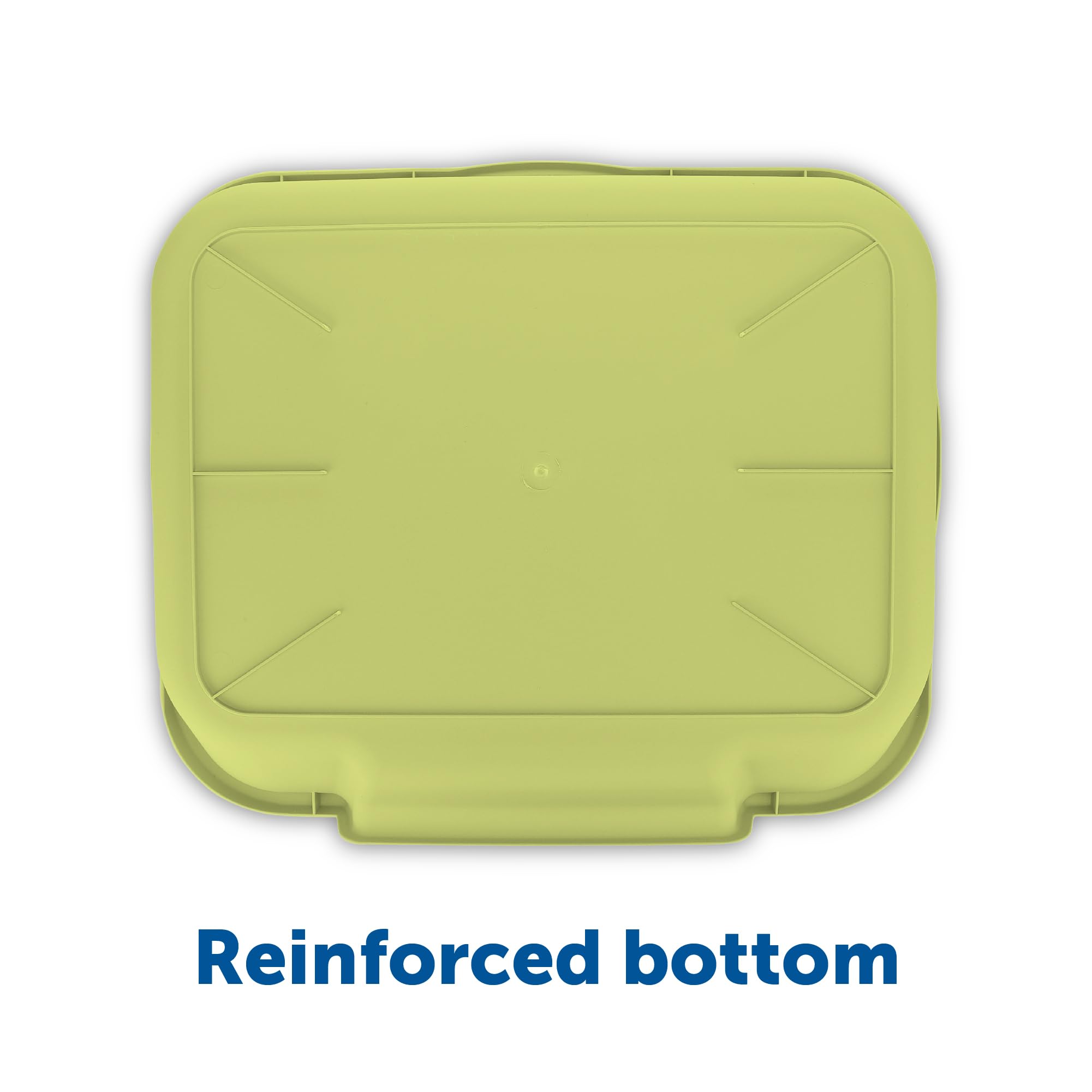 NE14pets KittyGoHere Large Green Low Entrance Cat Litter Box - Ideal for Senior & Arthritic Cats, Made in USA