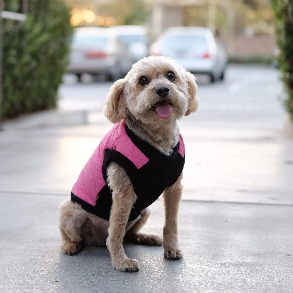 Gooby Fashion Vest Dog Jacket - Pink, X-Small - Warm Zip Up Dog Bomber Vest With Dual D Ring Leash - Winter Water Resistant Small Dog Sweater - Dog Clothes For Small Dogs Boy Or Medium Dogs