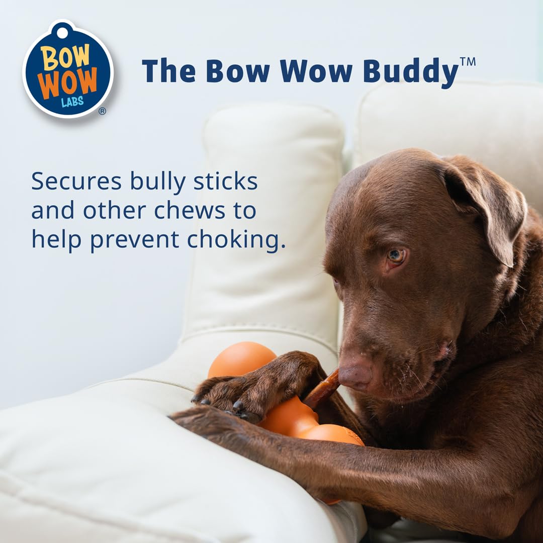 Bow Wow Labs New Bow Wow Buddy Starter Kit - Anti-Choking Bully Stick Safety Device for Dogs (L)