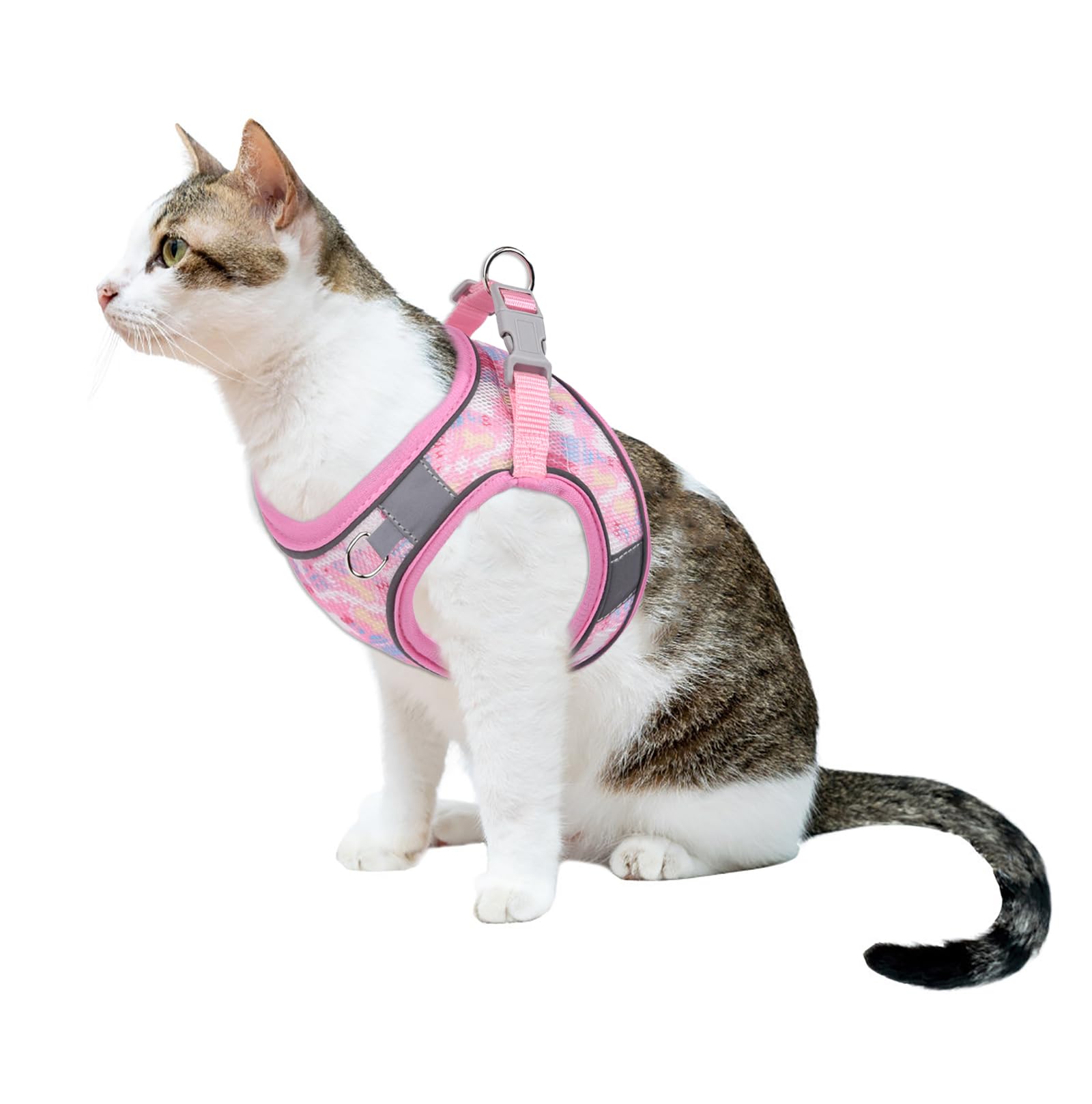 Btdcfy Step In Mesh Dog Harness & Leash Set - Breathable Air Mesh, Reflective, Escape Proof - No Choke, Lightweight - Xxs (Neck: