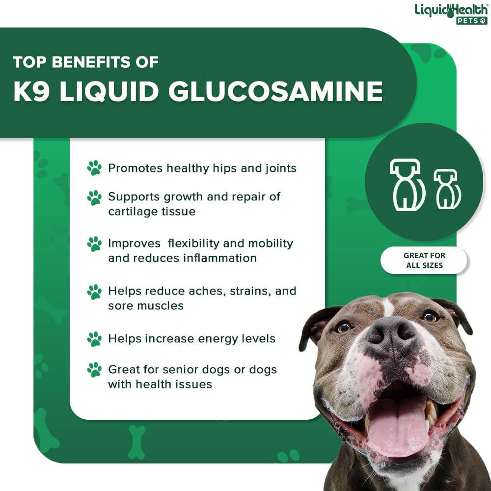 LIQUIDHEALTH K9 Liquid Glucosamine for Dogs - Joint Health Supplement, 32 Oz (Pack of 3) - Chondroitin, MSM, Hyaluronic Acid