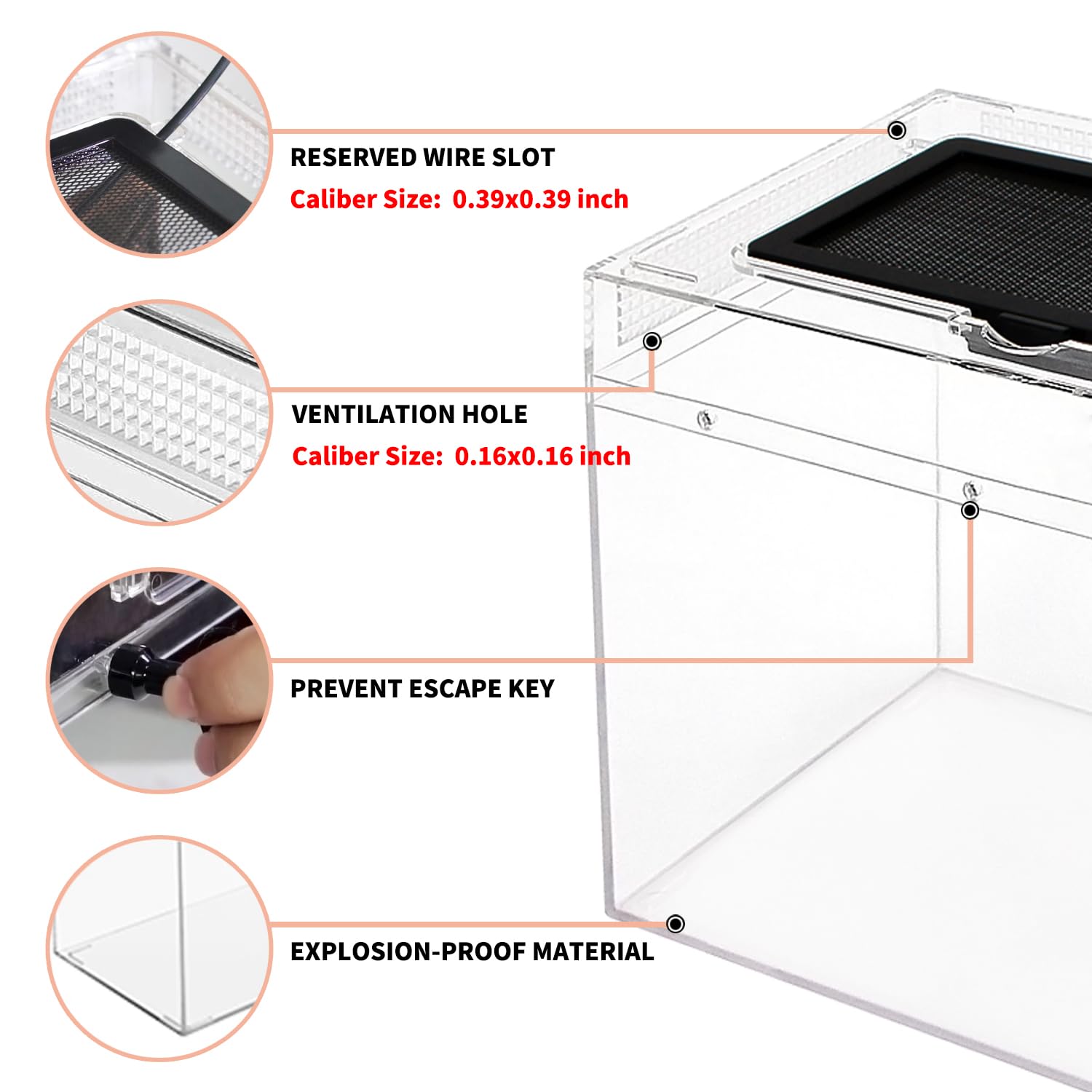 Mini Reptile Terrarium Set,12'' X 7''X 6'' Low Reptile Tank With Full View Visually Appealing,For Insect,Fish,Tarantula,Hermit C