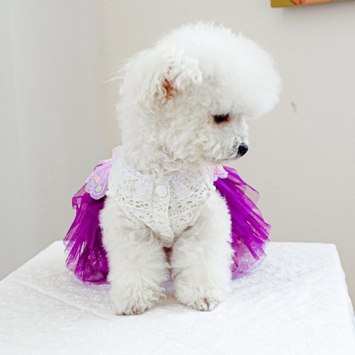 Marupet Fashion Sweet Puppy Dog Blingbling Princess Skirt Pet Dog Lace Cake Camisole Tutu Dress B-Purple Xs