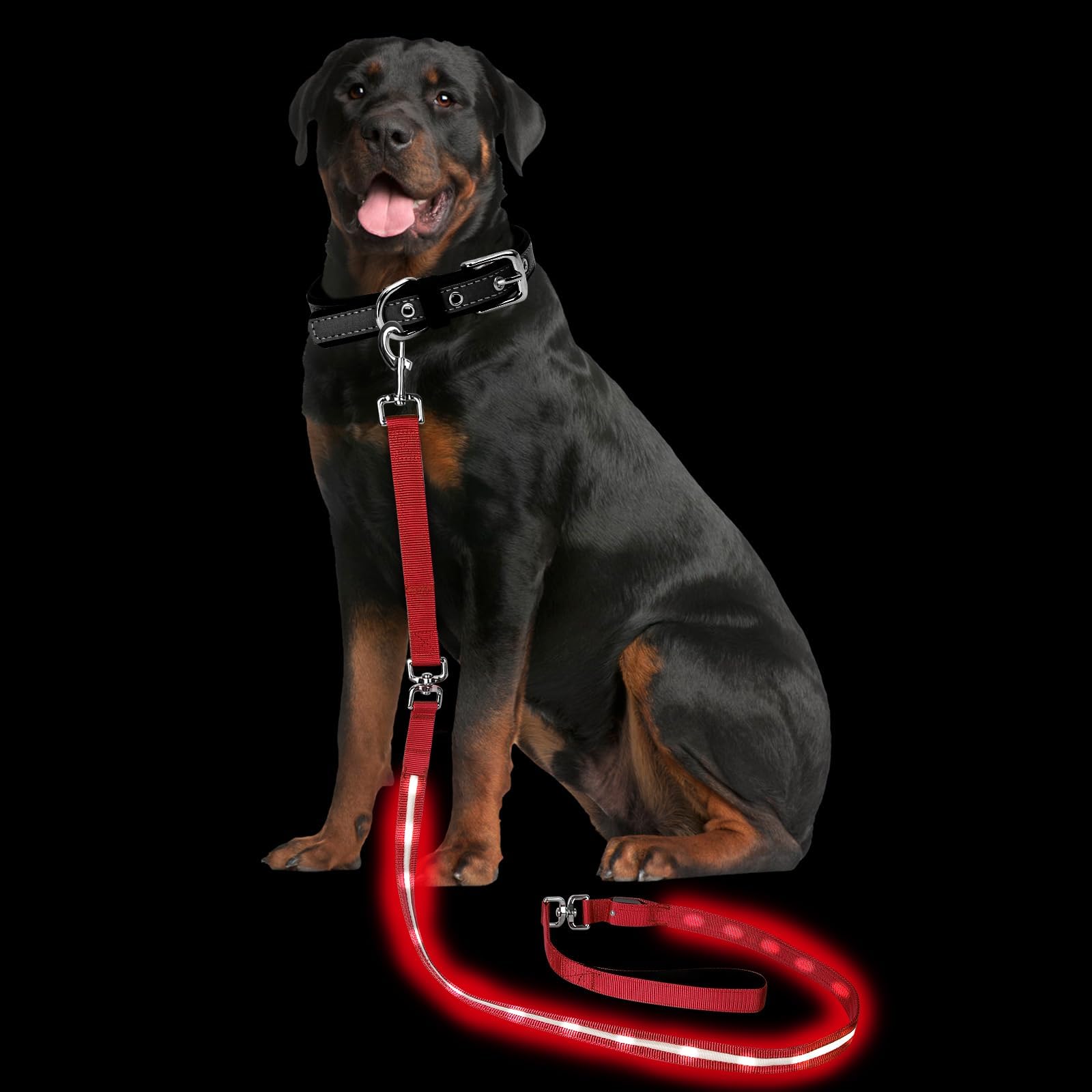Petisay Light Up Dog Leash For Night Walking - Usb-C Rechargeable, Waterproof - 6Ft(Red)