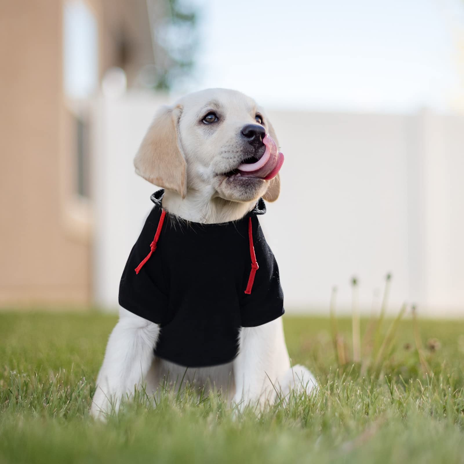 Sawmong Dog Hoodie,Flannel Pet Hooded Sweater With Hat Puppy Pullover Sweater Shirt,Dog (Black,L)