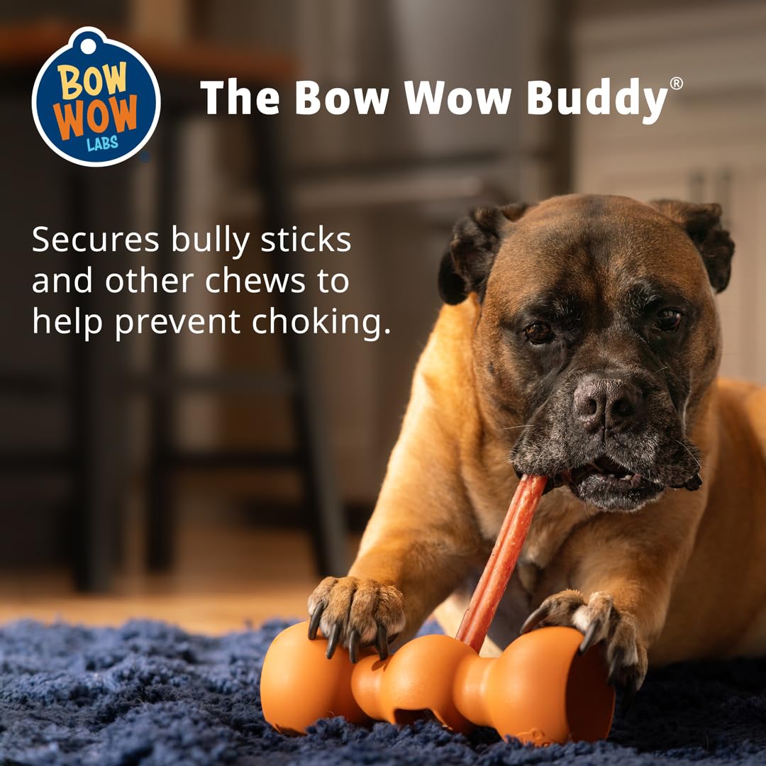 Bow Wow Labs New Bow Wow Buddy Starter Kit - Bully Sticks & Anti-Choking Bully Stick Holder Safety Device for Dogs (XS)
