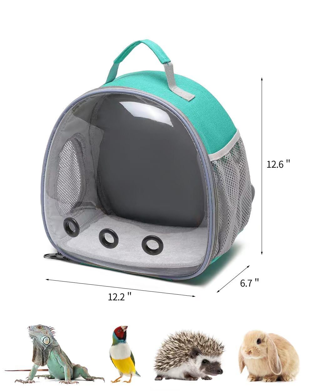 Hcupet Small Animal Carrier Backpack Space Capsule Bubble Window Carrier Backpack For Lizard Guinea Pig(Green)