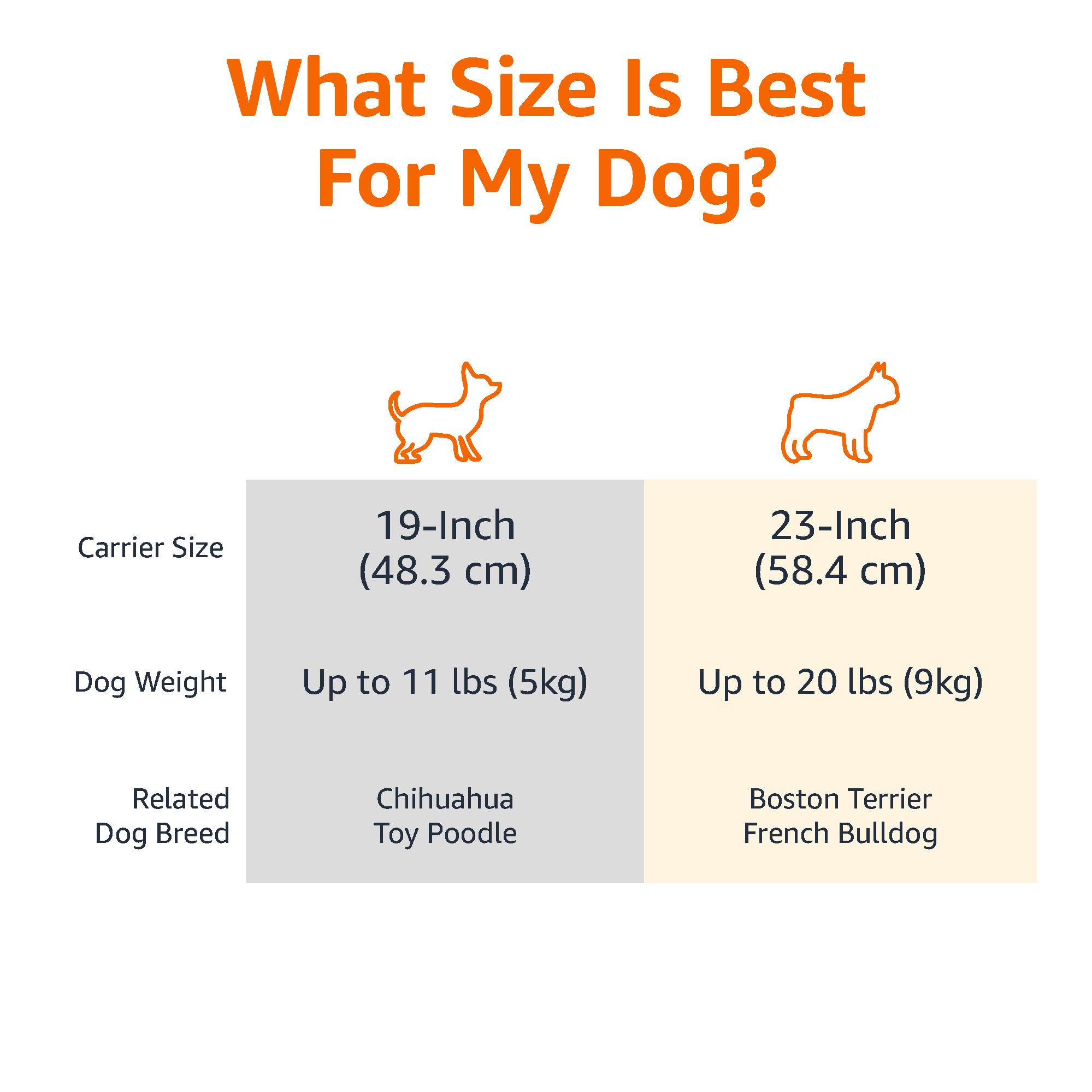 Amazon Basics - 2-Door Top-Load Hard-Sided Dogs, Cats Pet Travel Carrier, Gray & Blue, 22.8'L X 15.0'W X 13.0'H