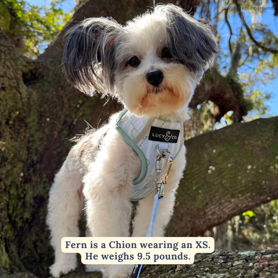 Lucy & Co. The Match Point No-Pull Dog Harness - Size Large - Vest to Stop Pulling & Walk Easy - Comfortable Leash Training Prod