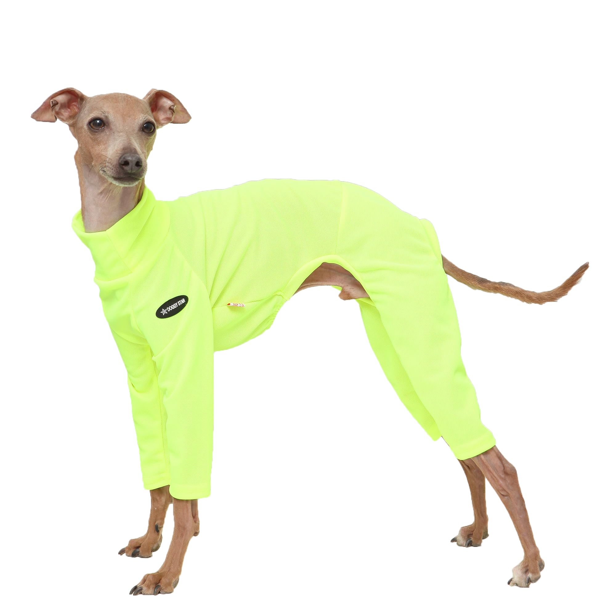 D Doggy Star Italian Greyhound Clothes Strechy Neon Onsie Spring Summer (S,Onsi Ne Yellow)