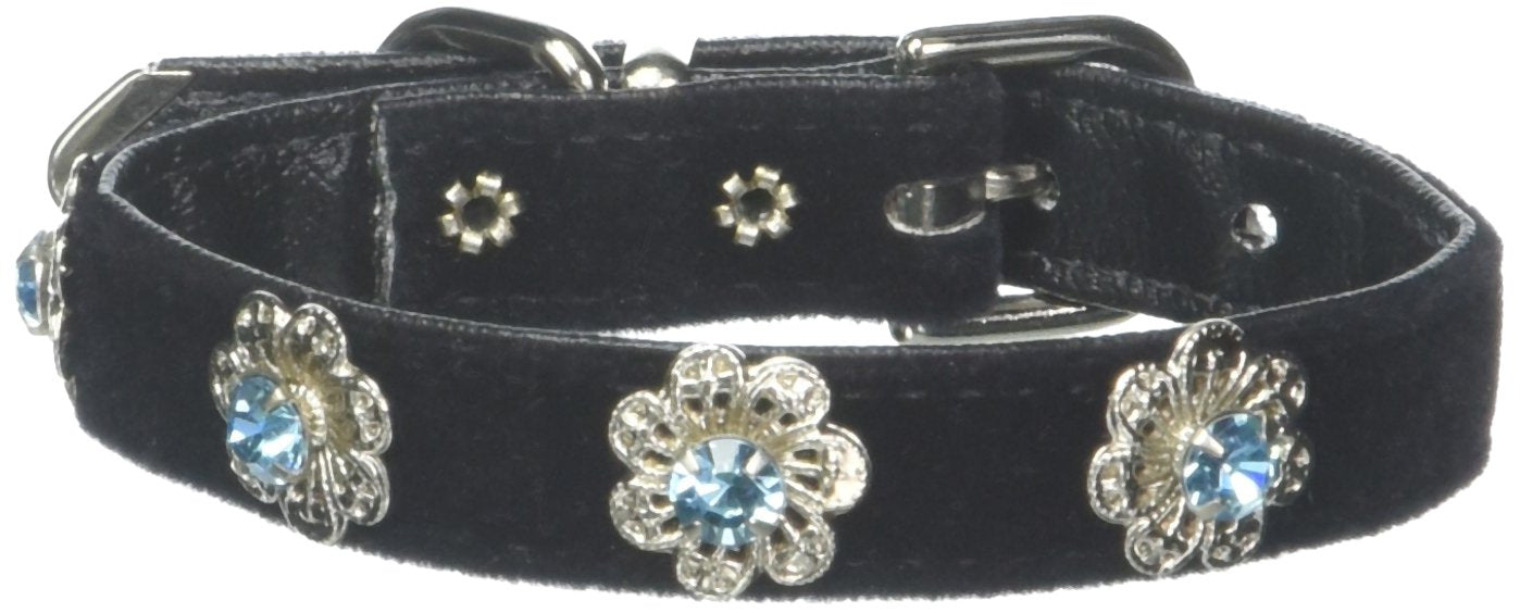 Dog, Puppy and Pet Collar, Black Velvet Crystal Elite Aqua 10
