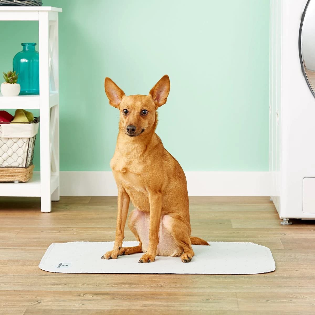 Pet Parents Pawtect Pads Washable Pee Pads For Dogs (2Pack) Of Premium Dog Pee Pads, Waterproof Puppy Pads & Reusable Dog Pads,