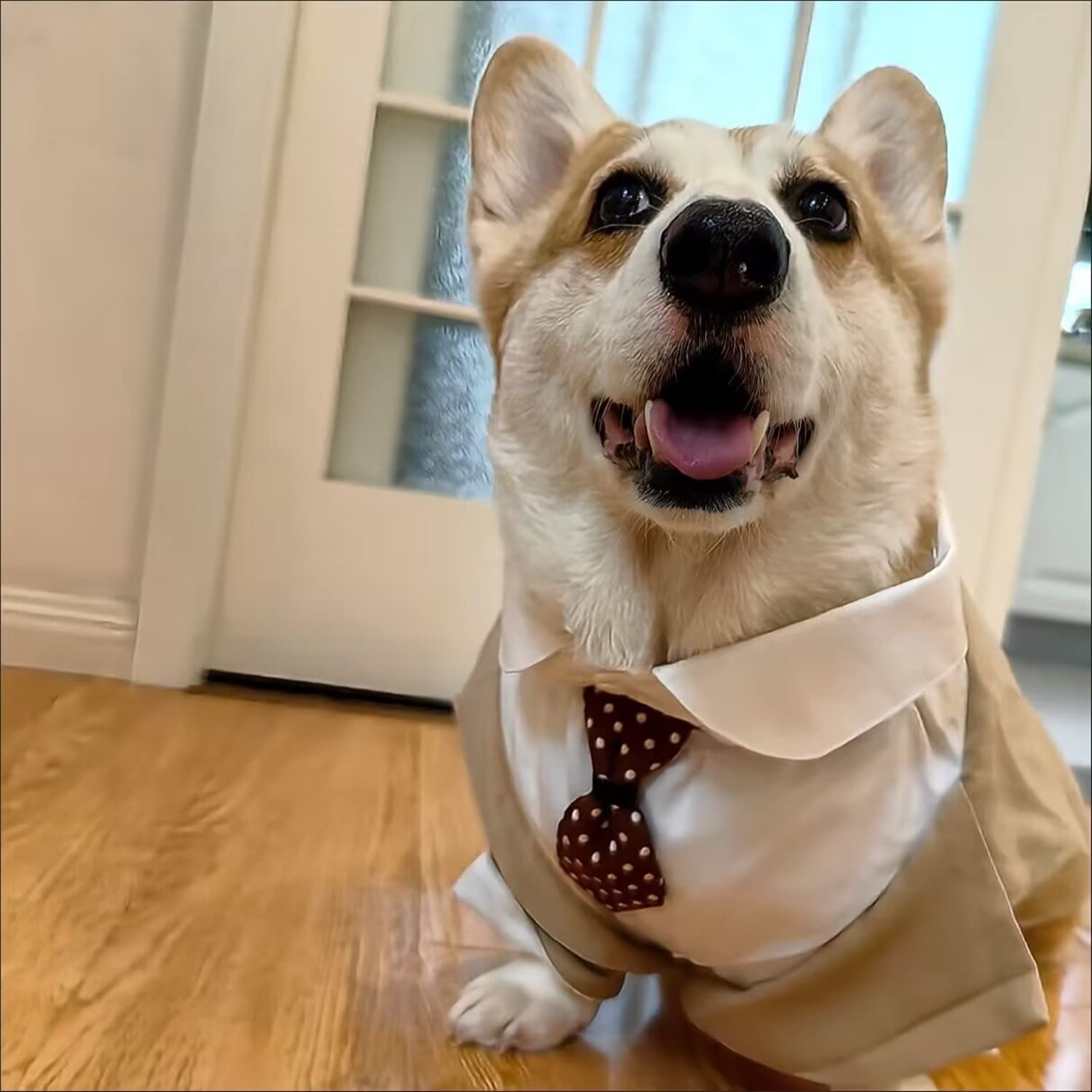 Hdkuw Large Dog Wedding Shirt, Dog Tuxedo With Bow Tie, Dogs Wedding Formal Suit, Doggie Prince Gentleman Costume For Medium Lar