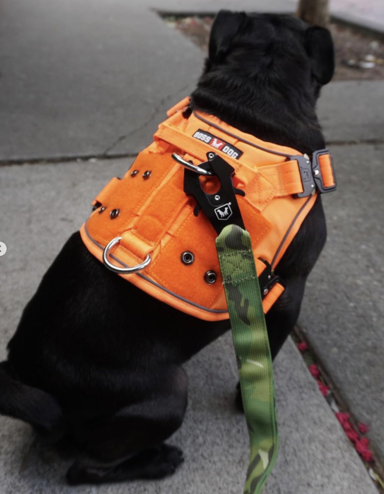 Boss Dog Tactical Harness, Orange, Medium