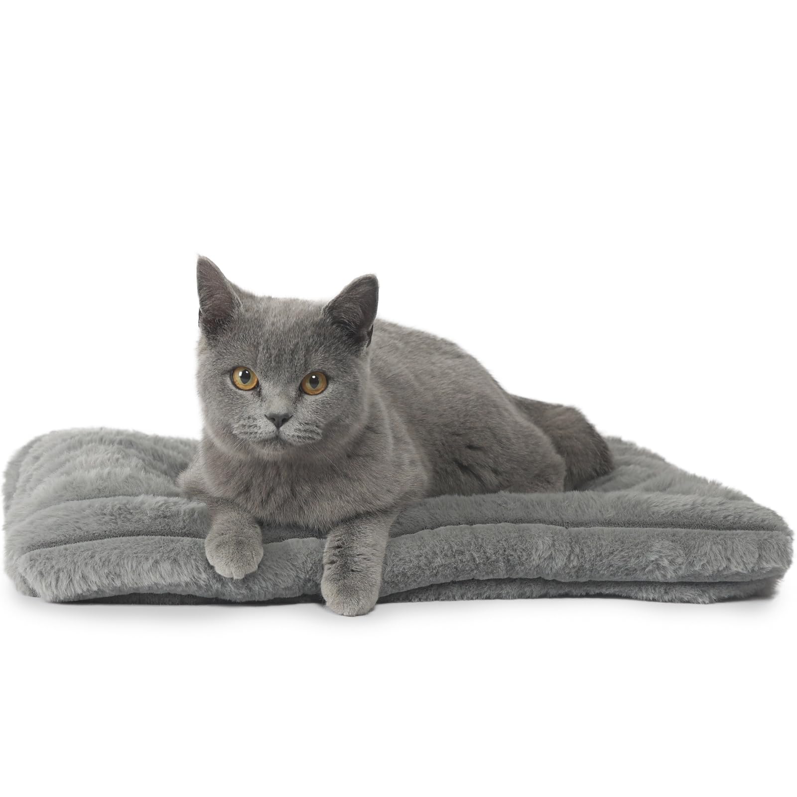 Extra Small Dog Crate Pad 18 X 12 Dog Beds For Tiny Dogs Deluxe Corduroy Fleece Fluffy Comfy Kennel Pad Washable Cute Flat Cat B