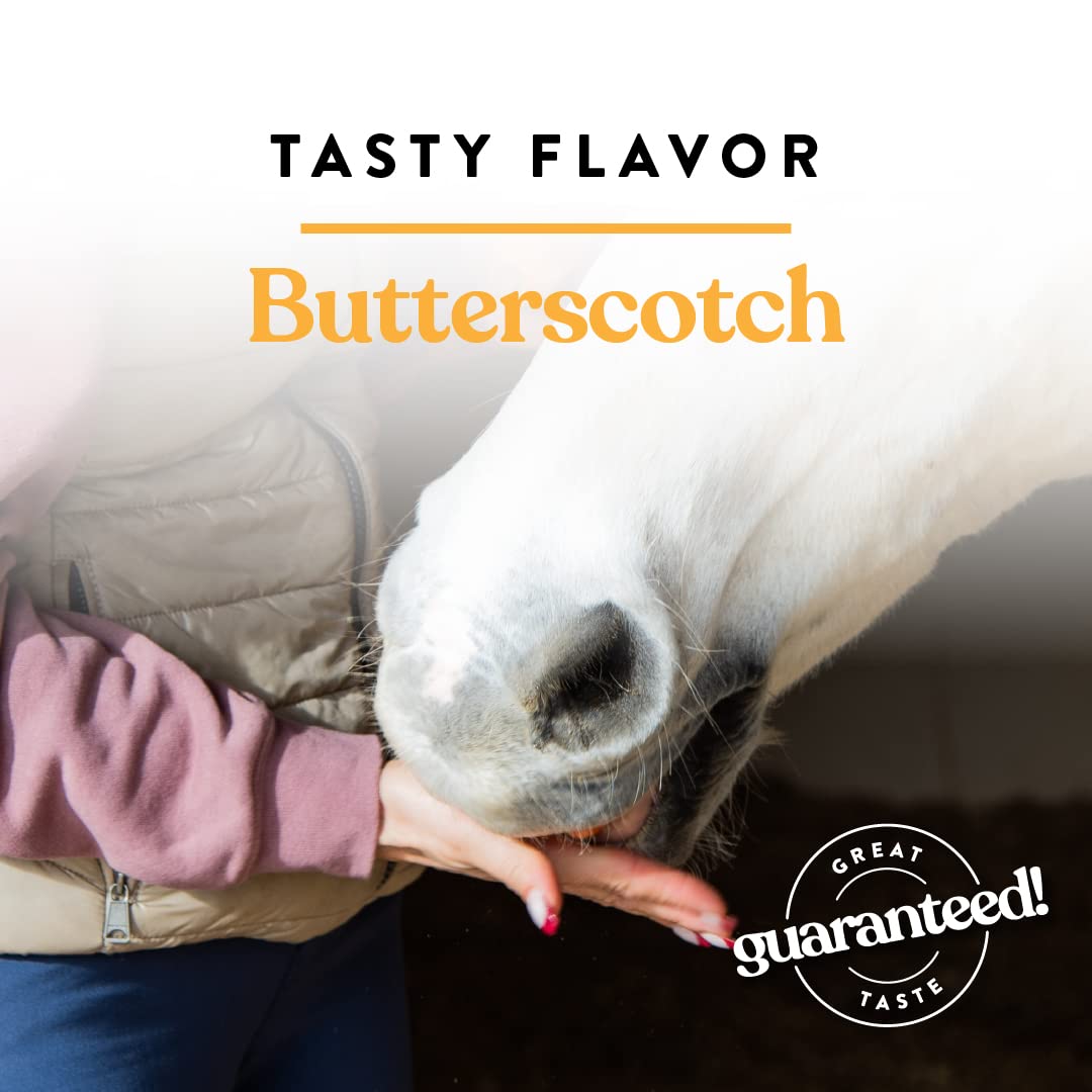 Manna Pro Bite-Size Nuggets for Horses - Horse Training Treats - Butterscotch Flavored Treats for Horses - 4 pounds